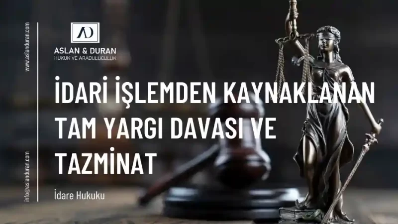 tam yargı davası