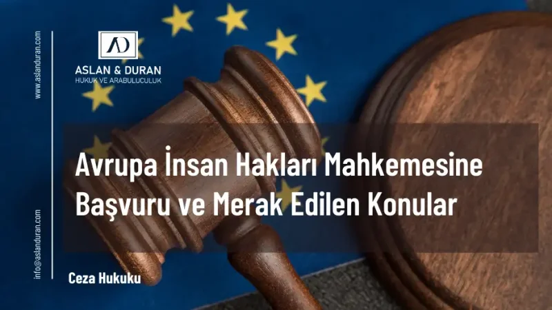 avrupa insan hakları mahkemesine başvuru