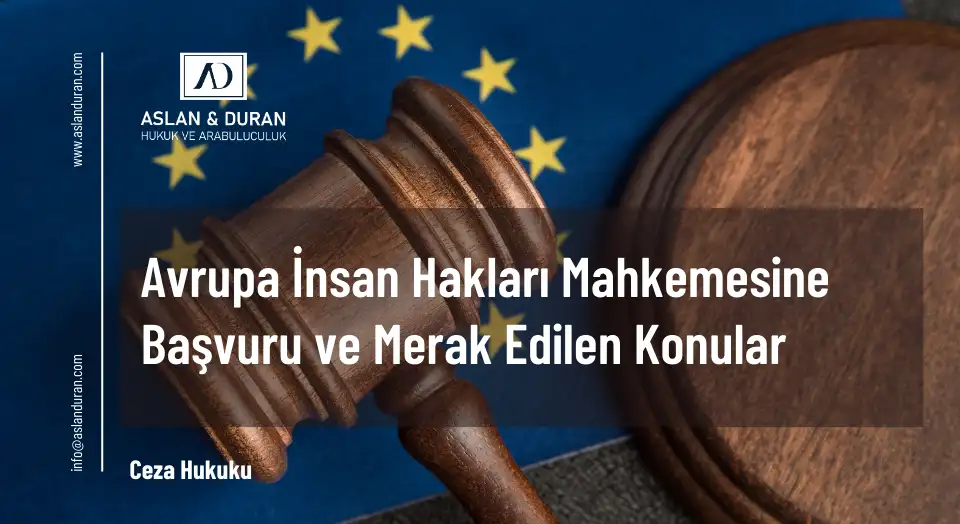 avrupa insan hakları mahkemesine başvuru