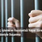 suç işleme ve haysiyetsiz hayat sürme nedeniyle boşanma